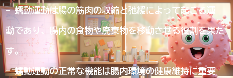 蠕動運動とは？の要点まとめ