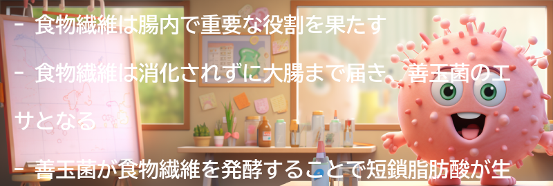 食物繊維が腸内でどのように働くのか？の要点まとめ
