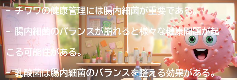チワワの健康管理に重要な腸内細菌とは？の要点まとめ
