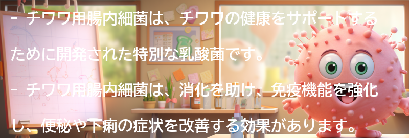 チワワ用腸内細菌の特徴と効果の要点まとめ