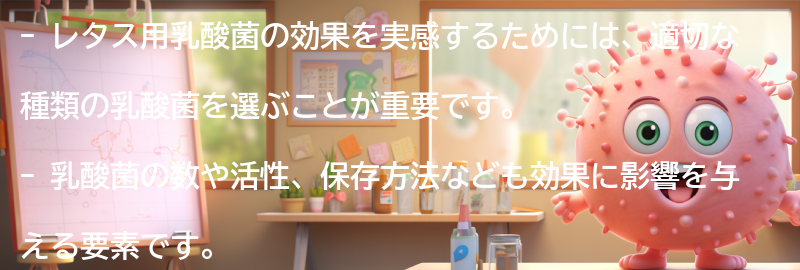 レタス用乳酸菌の効果を実感するためのポイントの要点まとめ