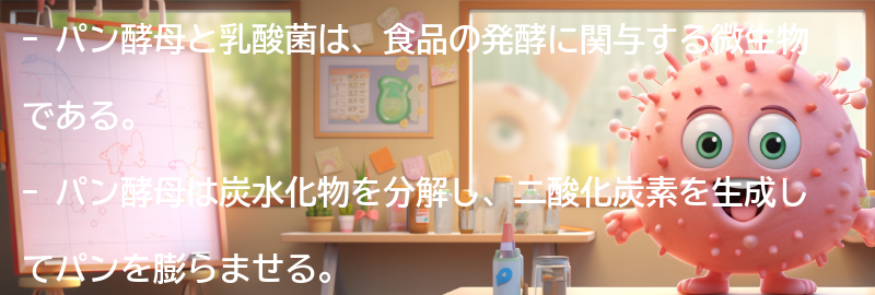 パン酵母と乳酸菌の基本的な違いとは？の要点まとめ