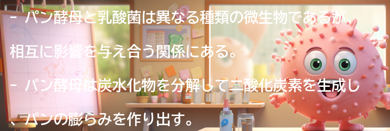 パン酵母と乳酸菌の関係を活かした食品の選び方のポイントの要点まとめ