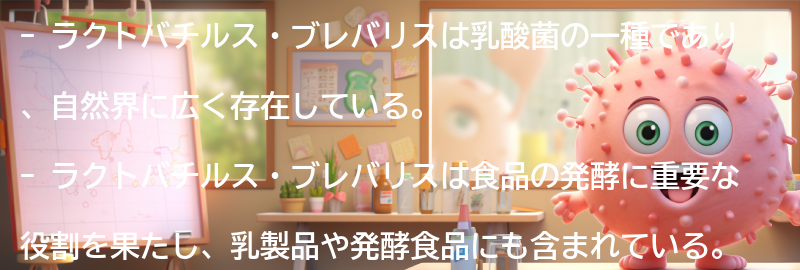 ラクトバチルス・ブレバリスとは？の要点まとめ